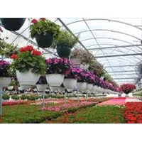 ساخت گلخانه,تحقیق برآورد هزینه تأسیس گلخانه به همراه لیست هزینه ها