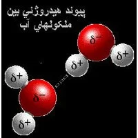 پیوند هیدروژنی,پیوند هیدروژنی درون مولکولی,پیوند,تحقیق پیوند هیدروژنی