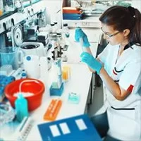 گزارش کار,آز میکروب شناسی,آزمایشگاه میکروب,گزارش کار آزمایشگاه با عنوان تشخیص اسپور