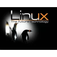 تعریف لینوکس,لینوکس چیست,دانلود مقاله,دانلود تحقیق,دانلود,مقاله درباره آموزش نصب لینوکس