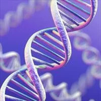 خالص سازی (تخلیص) DNA از,خالص سازی (تخلیص) dna از سلولهای زنده