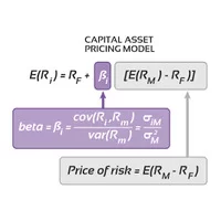 پاورپوینت بررسی ریسک و بازده,پاورپوینت ریسک و بازده بر اساس مدلهای توسعه یافته قیمت گذاری دارایی سرمایه ای