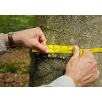 نمونه برداری,روش 3p,اندازه گیری جنگل,روش های پیشرفته نمونه برداری