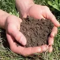 اصلاح آلودگی سلنیوم در خاک,پایان,تحقیق سلنيوم و اصلاح آلودگي آن در خاك