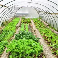 تعریف گلخانه,تحقیق رشته کشاورزی,تحقیق در مورد باغبانی